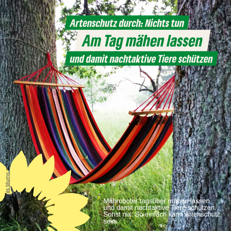Sharebild mit Hängematte zum Nachtmähverbot für Mähroboter  