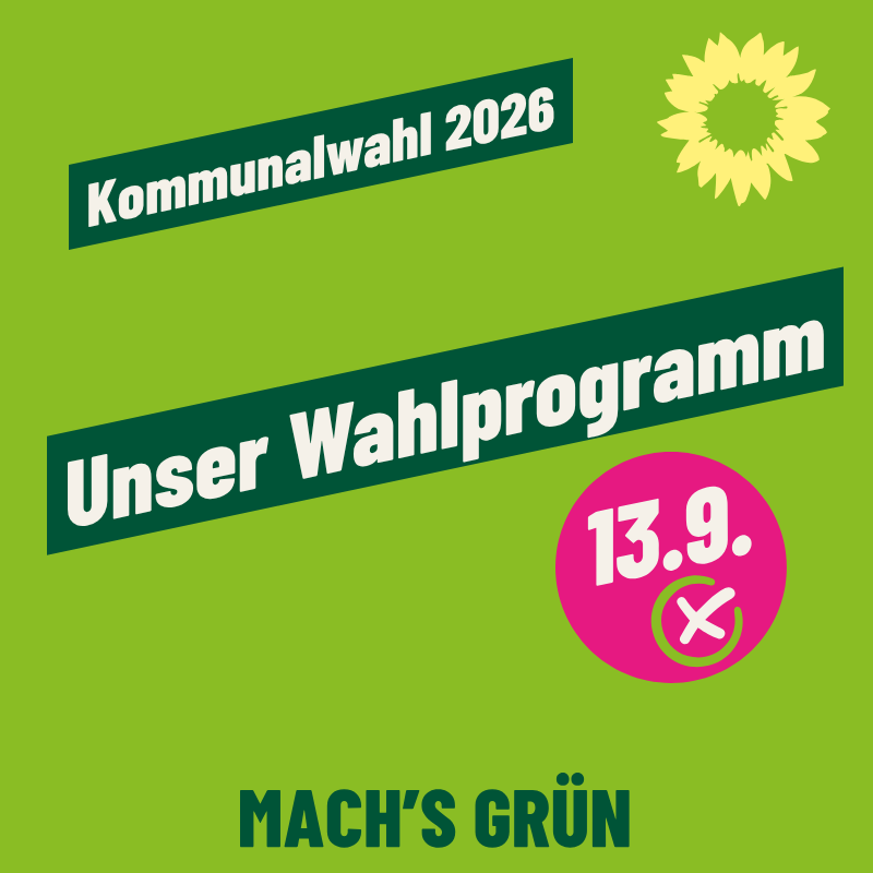 Sharepic mit Link zum Wahlprogramm für die Stadt Celle