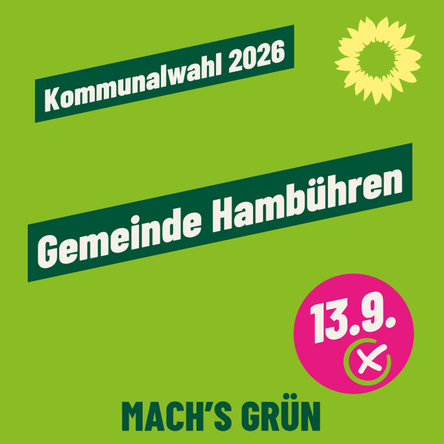 Sharepic mit Link zum Kommunalwahl in Hambühren