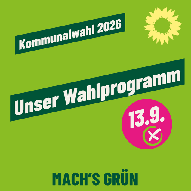 Sharepic mit Link zum Wahlprogramm für die Stadt Celle