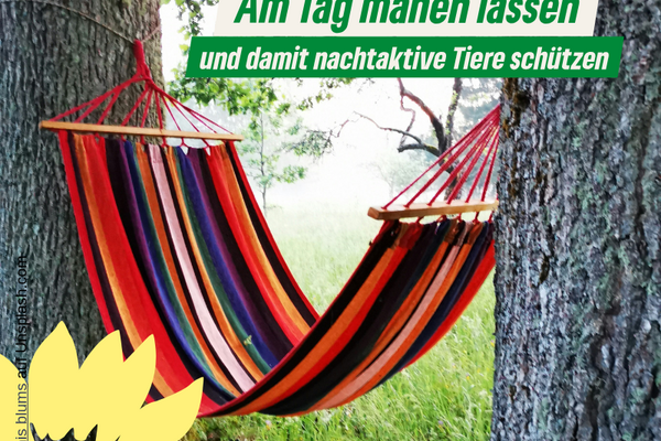 Sharebild mit Hängematte zum Nachtmähverbot für Mähroboter  