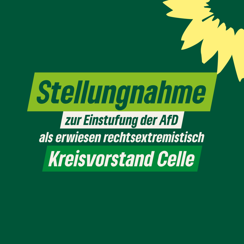 Sharepic zur Stellungsnahme AfD des Kreisvorstandes
